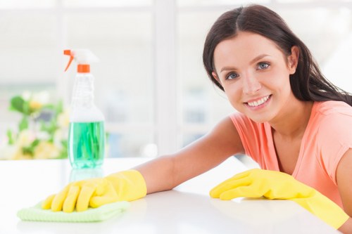 Professional upholstery cleaning in Petersham for fresh furniture