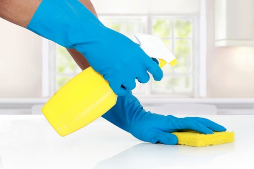 Deep carpet stain treatment in a Petersham living room