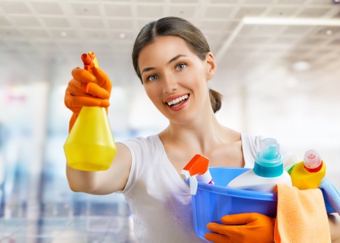 Professional carpet cleaning in a Petersham home interior