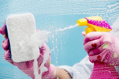 Deep carpet stain removal and fibre care in Petersham