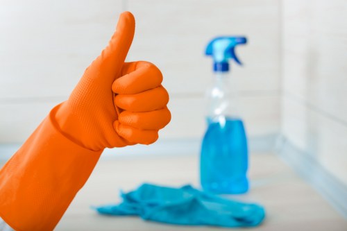 Mattress deodorising and sanitising service in Petersham
