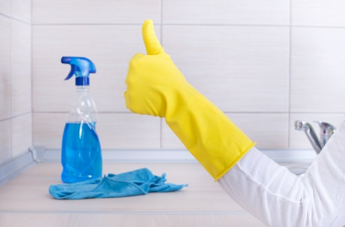 Eco-friendly carpet cleaning service in Petersham
