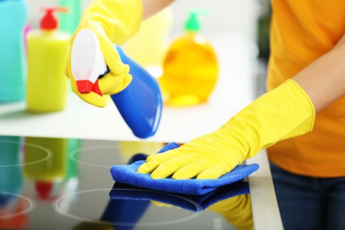 Deep carpet cleaning equipment used in Petersham workplace