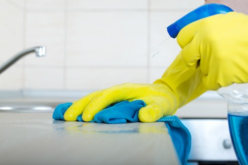 Household stain removal supplies arranged for a Petersham home