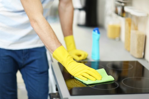 Professional pet odour treatment for upholstery in Petersham home