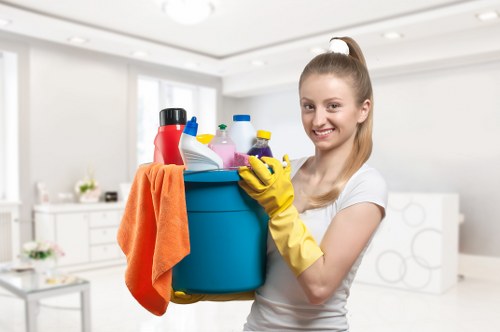 Vacuum and stain treatment during mattress cleaning in Petersham