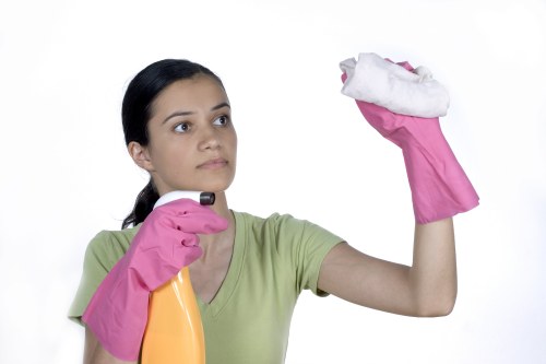 Supervisor reviewing health and safety controls for carpet cleaning work