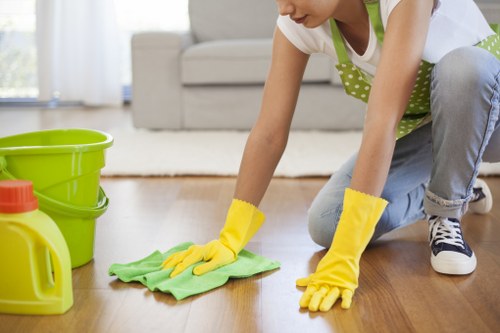 Accessibility request section for Petersham Carpet Cleaners users